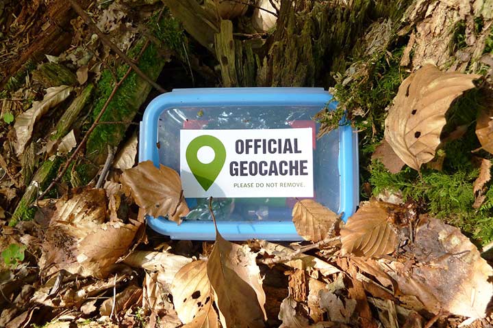 A geocaching treasure box buried in leaves