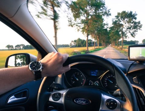 Person steering car down tree lined road