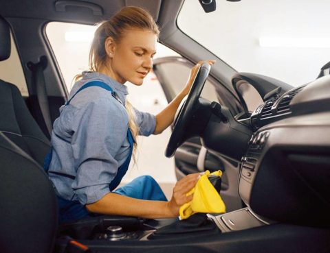 Woman Cleaning Car Interior