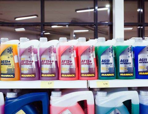 Antifreeze jugs on an auto parts store shelf